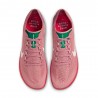 Nike Dragonfly 2 All Rosso Stardust - Scarpe Running Uomo