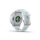 Garmin