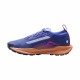 Nike Pegasus Trail 5 Gtx Nero Wolf Grigio-C - Scarpe Trail Running Donna