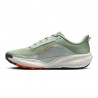 Nike Acg Pegasus Jade Horizon Phantom-Light Argento - Scarpe Trail Running Uomo