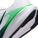 Nike Air Zoom Pegasus 42 Bianco Blu Verde - Scarpe Running Uomo
